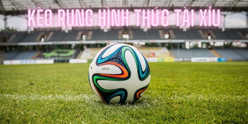 Hình thức đặt cược tài xỉu thú vị trong kèo rung